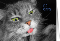 Crazy About You Cross-Eyed Cat Humorous and Romantic Card