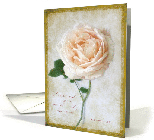 Beautiful Vintage Rose with Love Quote Wedding Congratulations card