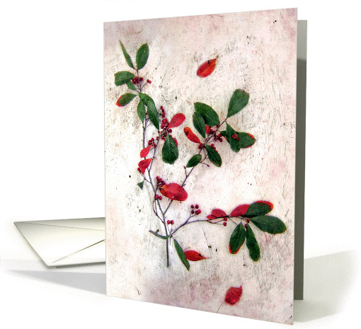 Red Berries Christmas card (880435)
