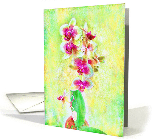 Impressionist Orchids in Yellow & Green Birthday card (913604)