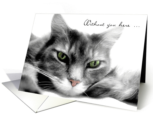 Missing You Bored Gray Cat card (966529)