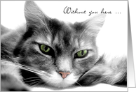 Missing You Bored Gray Cat Card