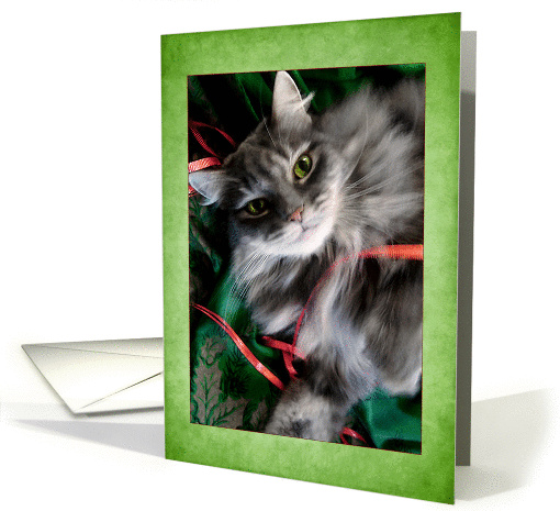 Pretty Gray Kitty Christmas Card with Green Border card (969415)