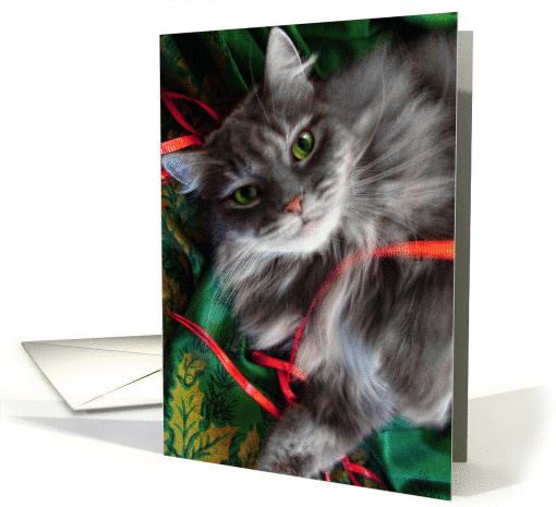 Pretty Gray Kitty Happy Holidays card (969433)