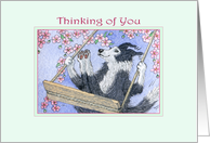 Border Collie Dog Swinging in the Blossom, Thinking of You card
