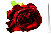 a rose for mom card
