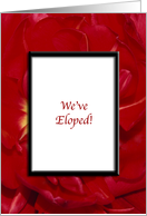 Elopement Announcement Wedding - Red Flowers card