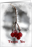 Thank You - Frosty Red Berries card