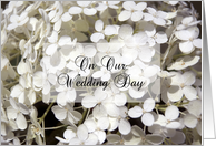 On Our Wedding Day - White Hydrangea Flowers card