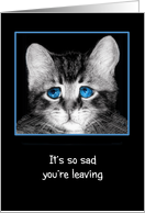 It’s so sad you’re leaving, I’ll miss you! Sad blue-eyed kitten card