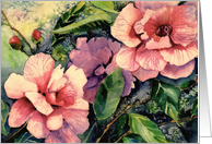 Happy Birthday, Pink Camellias, Watercolor Painting, Irish Blessing card