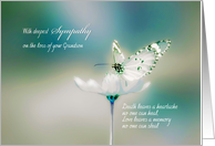 With deepest Sympathy on the loss of your Grandson, butterfly card
