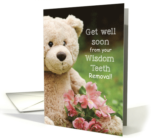 Wisdom Teeth Removed Teddy Bear and Flowers Get Well Religious card