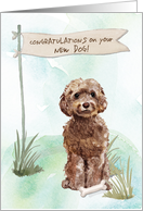 Brown Cockapoo Congratulations on New Dog card