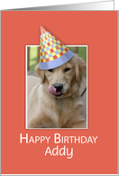 Custom Name Birthday to Dog Humor Funny Hat on Orange card