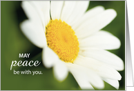 Peace Encouragement and Support in Difficult Times with Daisy Flower card