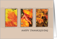 Thanksgiving with Fall Foliage and Pumpkins card