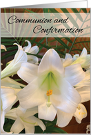 Communion And Confirmation RCIA White Lilies and Ferns card
