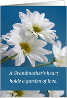 Grandmother on Mothers Day with White Daisies on Blue card