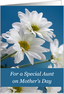 Aunt on Mothers Day with White Daisies on Blue Sky card