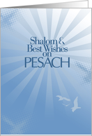Pesach Shalom card