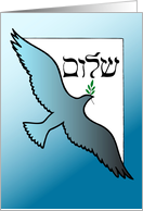 Passover Peace Dove card