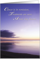 Cancer in Remission Support card