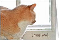 Miss You with tabby cat looking out of a window card