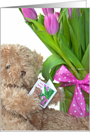 I’m Sorry, brown teddy bear with pink tulip bouquet card