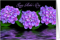 Happy Mother’s Day, Purple Hydrangeas With Water Reflection card