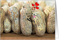 Wedding Anniversary for spouse pair of peanuts hugging card