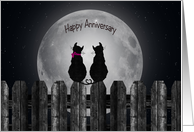 Anniversary for couple, silhouette of cats on a fence with full moon card