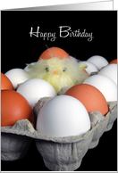 Dad’s Birthday from firstborn, baby chick in carton with eggshell hat card