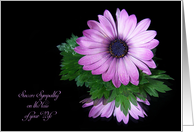 Loss of Wife sympathy purple daisy reflection on black card