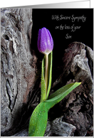Loss of Son, purple tulip with raindrops on driftwood card