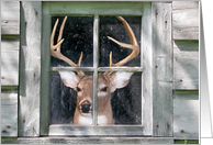 Big Buck in Cabin Window Man’s Birthday card