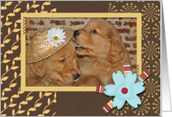 Anniversary for couple, pair of golden retriever puppies card