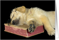 Birthday Golden Retriever puppy sleeping on old book card