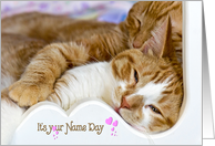 Name Day tabby cats snuggling in white wood frame card