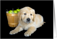 Birthday Golden Retriever Puppy with Green Apple Basket card