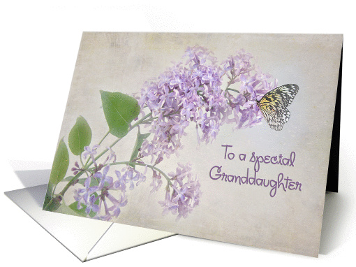 butterfly on lilacs for Granddaughter's birthday card (926078)