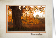 sympathy with autumn oak tree for loss of grandpa card