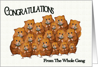 Congratulations From the Whole Gang, Crowd of Cute Hamsters, Daisies card