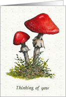 Thinking of You General with Watercolor Painting Toadstools Mushrooms card