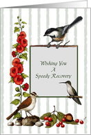 Speedy Recovery: Hand-Drawn Nature Art With Birds and Flowers card