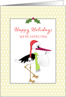 We’re Expecting Christmas Greeting Card-Pregnant-New Baby-Stork card