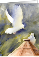 White Doves card