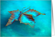 Beautiful Aqua Maple Leaf Floating the Lake, Thank You! card