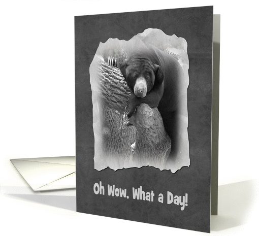 Oh Wow, What a Day!, Wisdom Teeth Removal card (207567)
