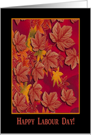 Happy Labour Day, Canadian, Maple Leaves card